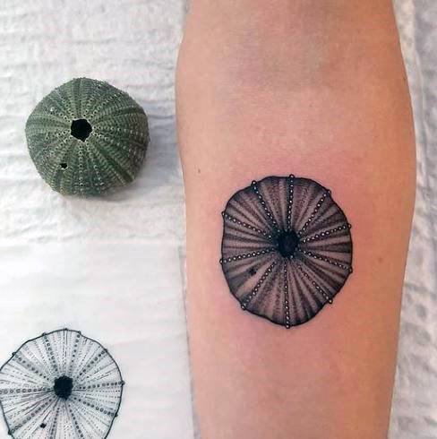 Female Cool Sea Urchin Tattoo Ideas