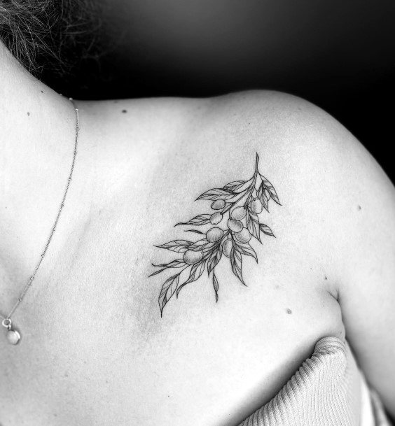 Female Olive Branch Tattoos