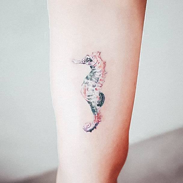 Female Seahorse Tattoos