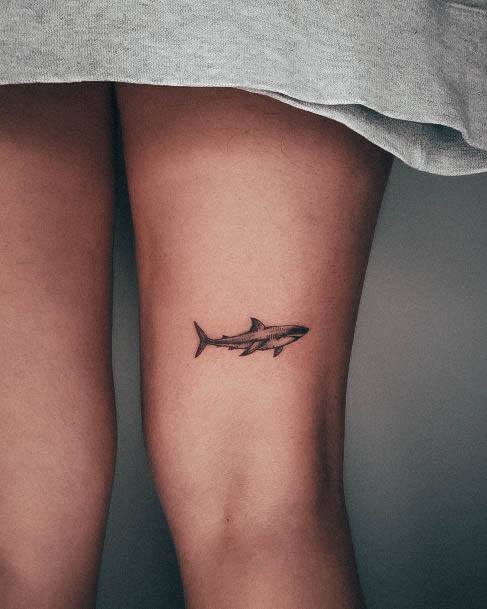 Explore the 50 Best Shark Tattoo Ideas 2019  Tattoodo