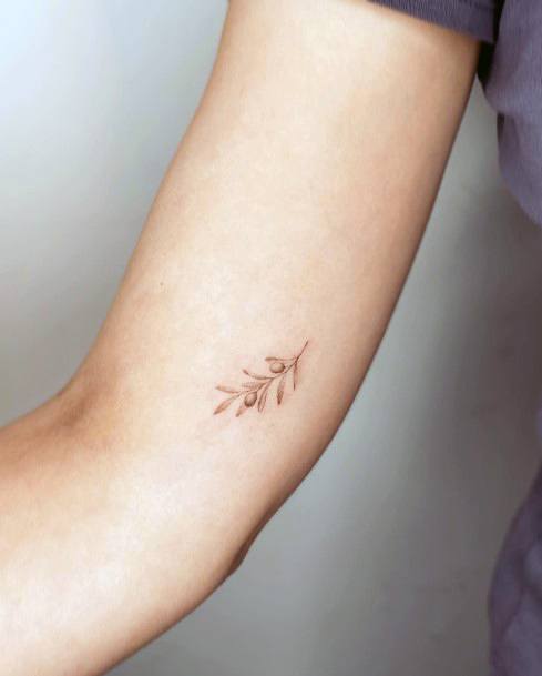Females Olive Branch Tattoos