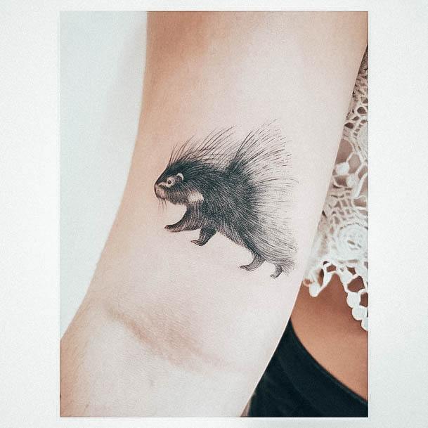 Females Porcupine Tattoos