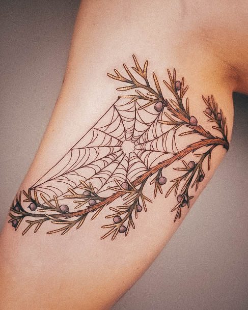 Females Small Spider Web Tattoos