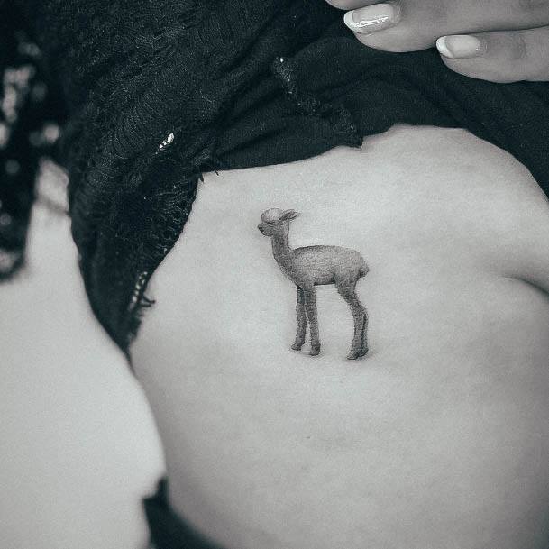 Feminine Alpaca Tattoo Designs For Women