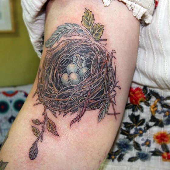 Feminine Birds Nest Tattoo Designs For Women