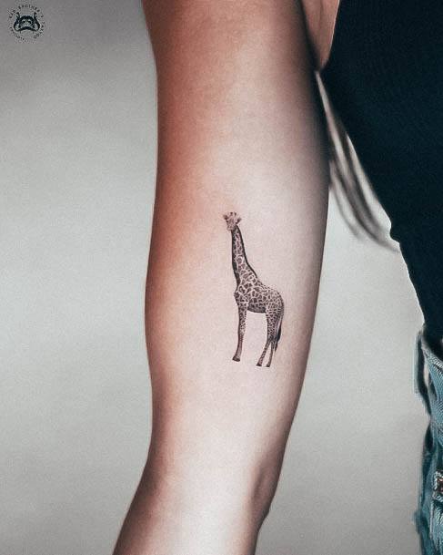 Feminine Giraffe Tattoo Designs For Women Tiny Realistic Arm