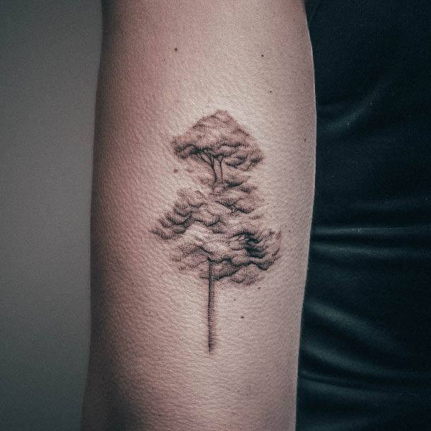 Feminine Girls Pine Tree Tattoo Designs