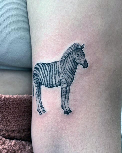 Feminine Girls Zebra Tattoo Designs