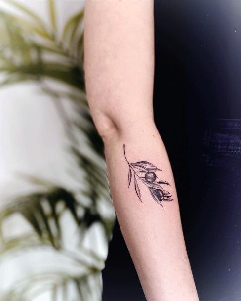 Feminine Olive Branch Tattoo Designs For Women