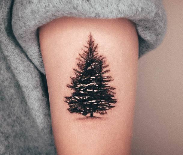 Feminine Pine Tree Tattoo Designs For Women