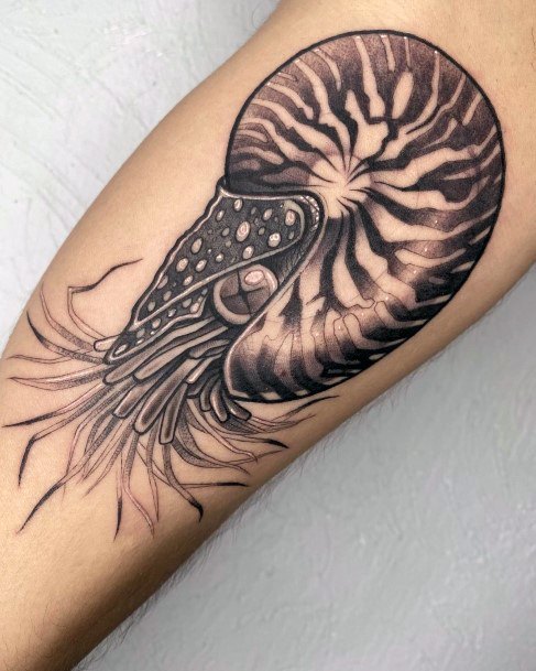 Feminine Tattoos For Women Nautilus