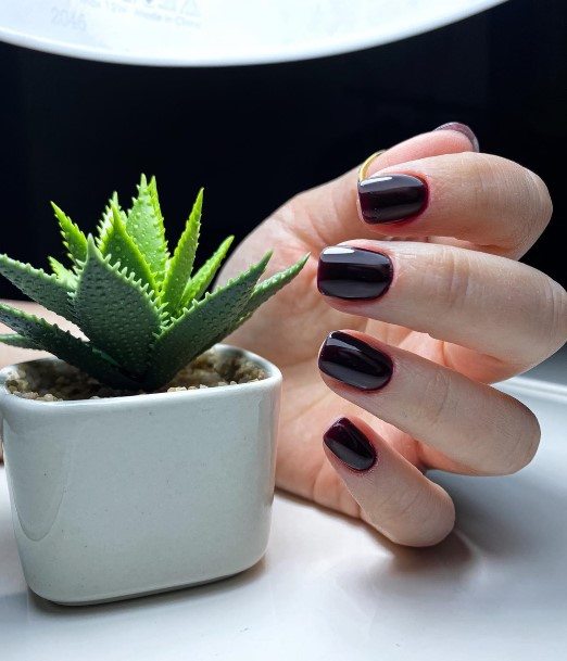 Feminine Womens Burgundy And Black Nail