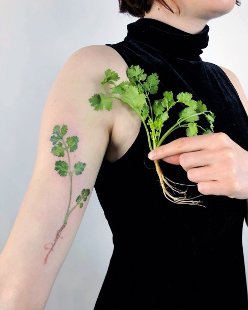 Feminine Womens Coriander Tattoo