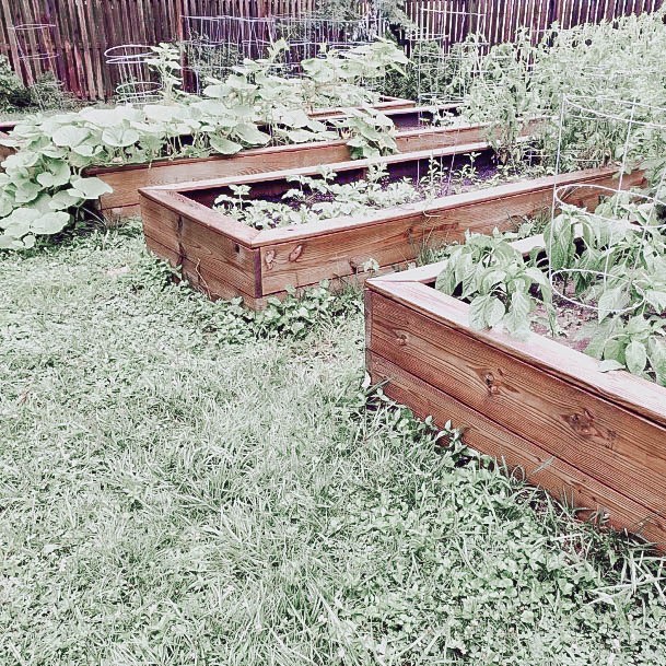 Flower Wood Garden Box Ideas