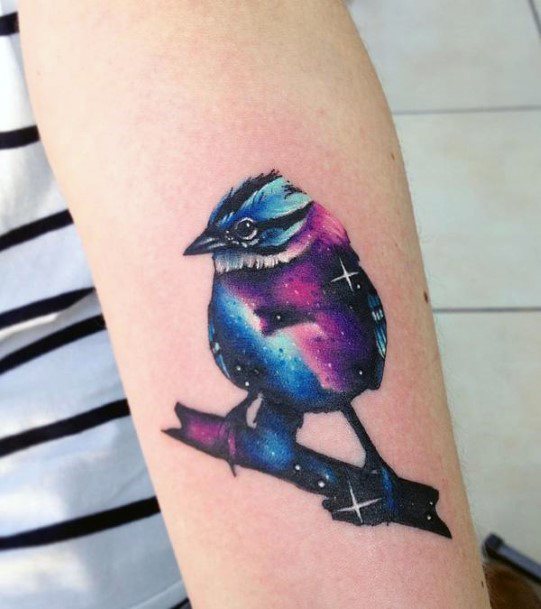 Galaxy Bird Tattoo Womens Arms