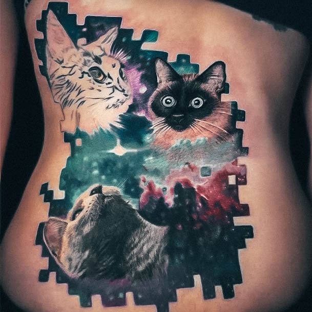 Galaxy Womens Tattoo Ideas 3d Cats Rib Cage Side Of Body