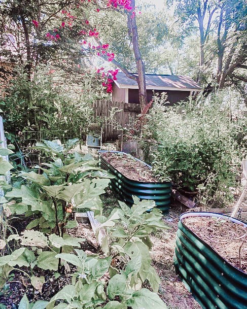 Galvanized Ideas For Backyard Vegtable Gardens