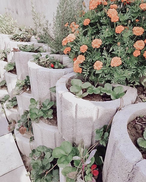 Garden Bed Designs Concrete