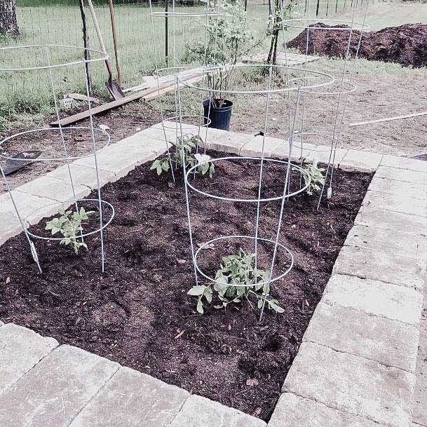 Garden Beds Ideas Brick Raised