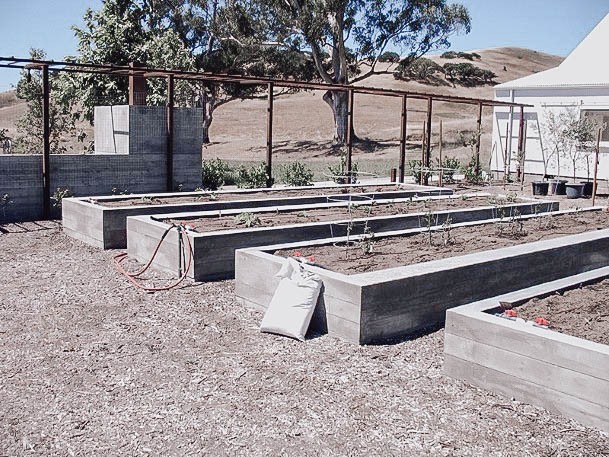 Garden Beds Raised Concrete