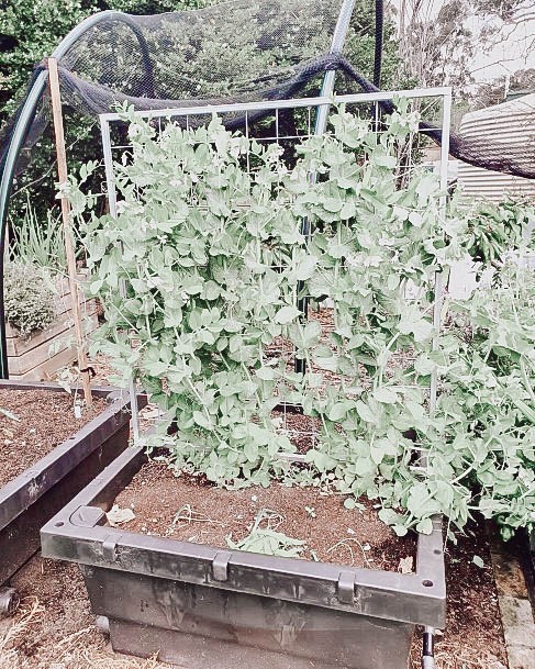 Garden Beds Raised Plastic