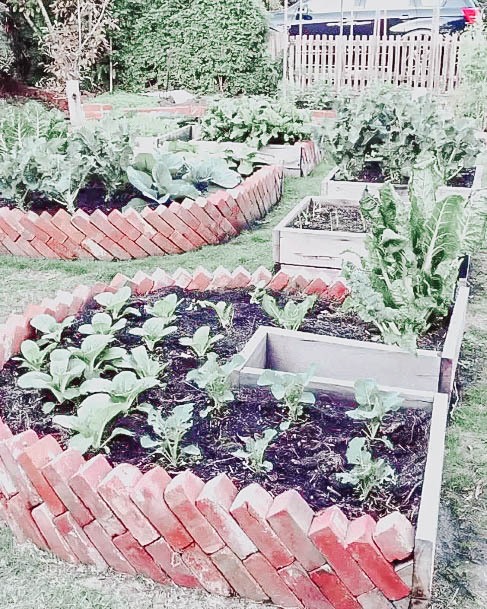 Garden Box Brick Bed Ideas