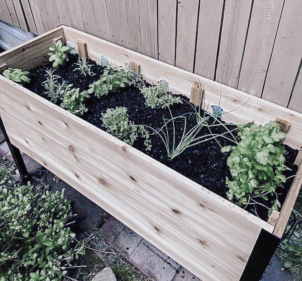 Garden Ideas Inexpensive Above Ground Beds