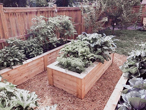 Garden Planter Raised Bed Wood