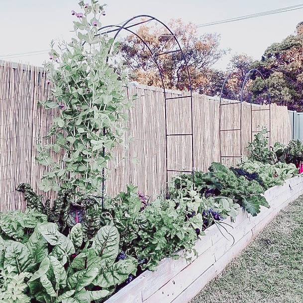 Gardening Barns Raised Beds Wood