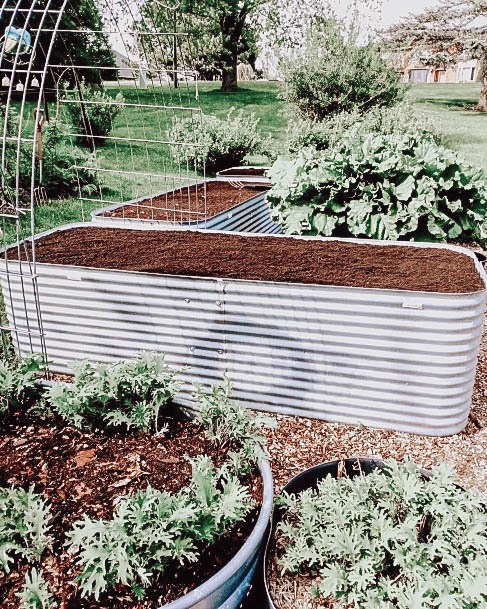 Gardening Bed Design Ideas Galvanized