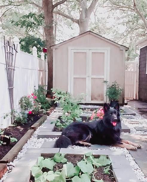 Gardening Raised Beds Cinderblock