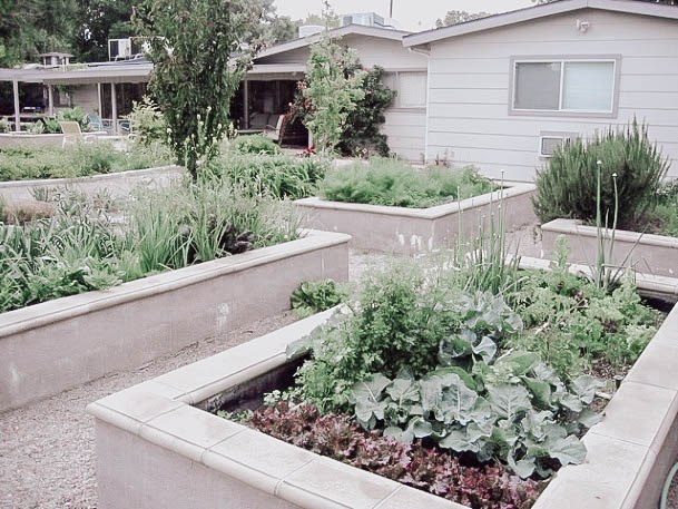 Gardening Raised Beds Concrete