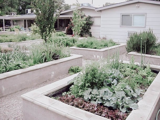 Top 50 Best Concrete Raised Garden Bed Ideas - Cement Designs