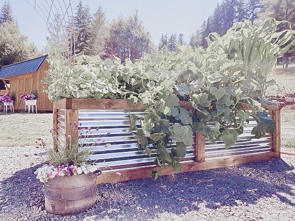 Gardening Raised Beds Galvanized