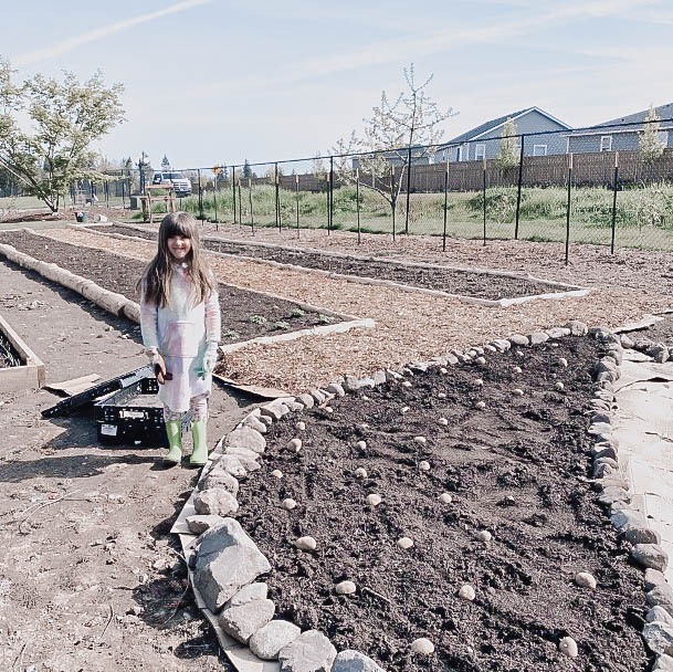 Gardening Raised Beds Stone Rock