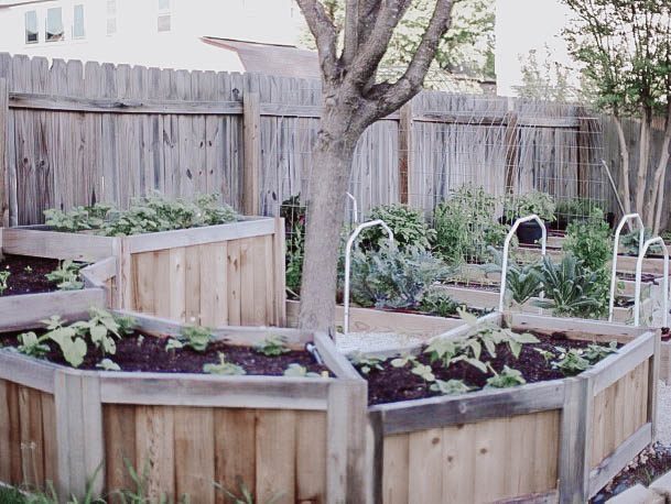 Gardens Wood Raised Bed Ideas