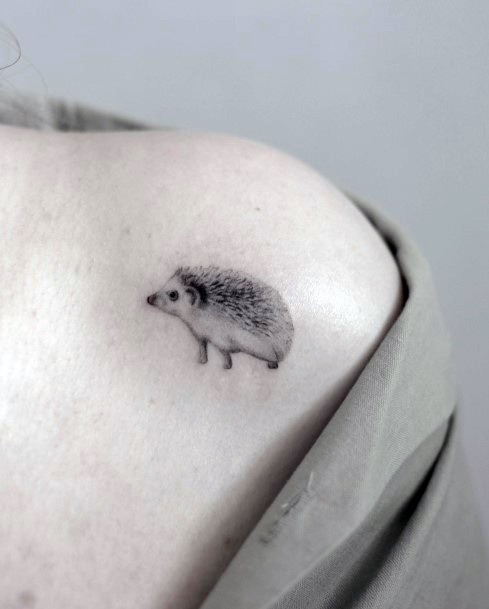 Georgeous Hedgehog Tattoo On Girl