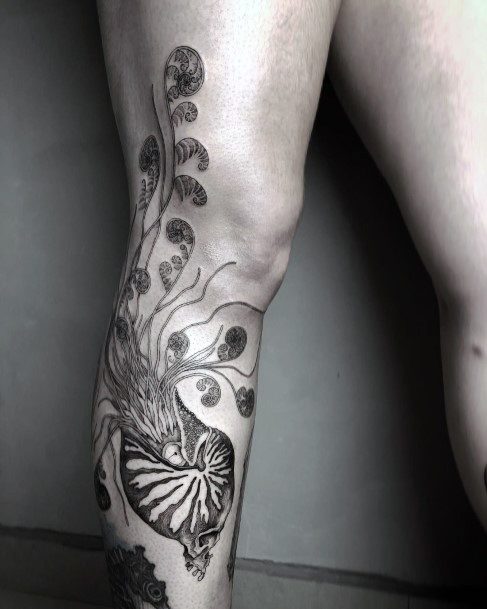 Georgeous Nautilus Tattoo On Girl