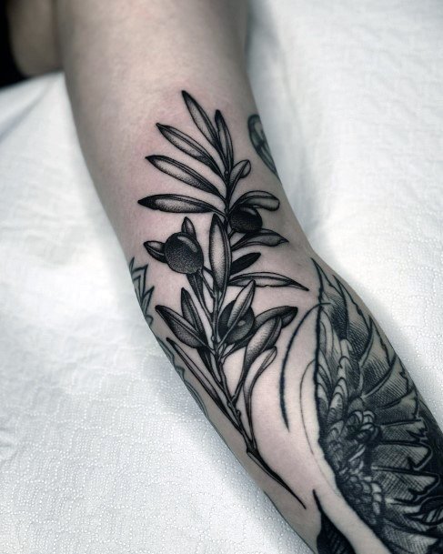 Georgeous Olive Tree Tattoo On Girl