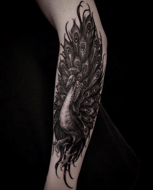 Georgeous Peacock Tattoo On Girl