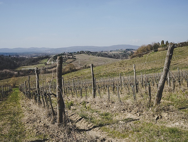 Getting Around La Lastra Siena Italy Wine