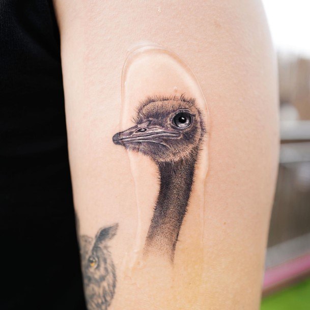 Top 100 Best Ostrich Tattoos For Women Feathered Bird Design Ideas