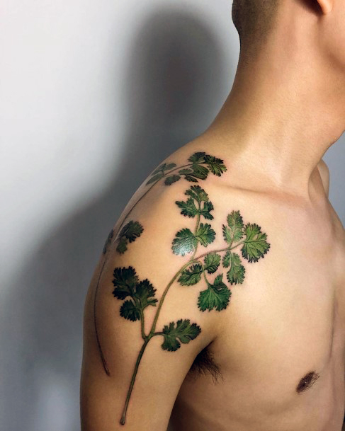 Girl With Feminine Coriander Tattoo