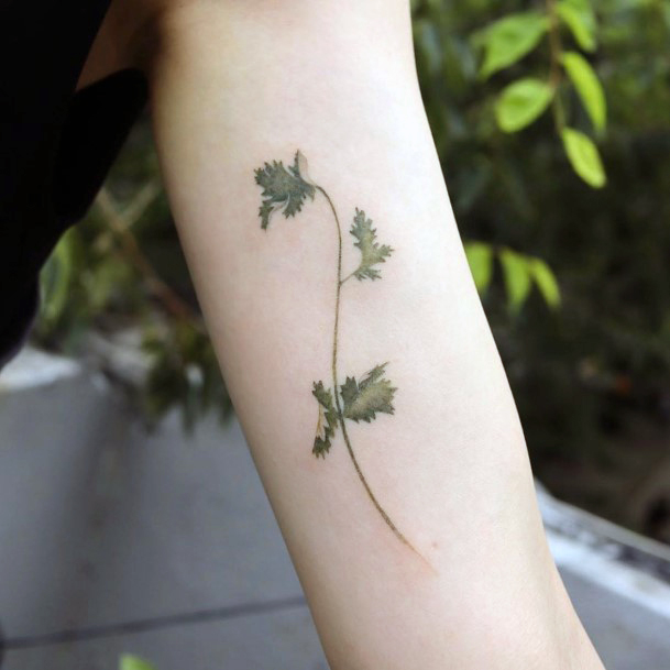 Girls Designs Coriander Tattoo