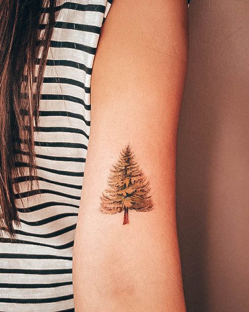 Girls Designs Pine Tree Tattoo