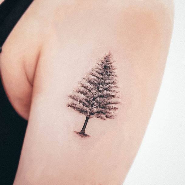 Girls Glamorous Pine Tree Tattoo Inspiration