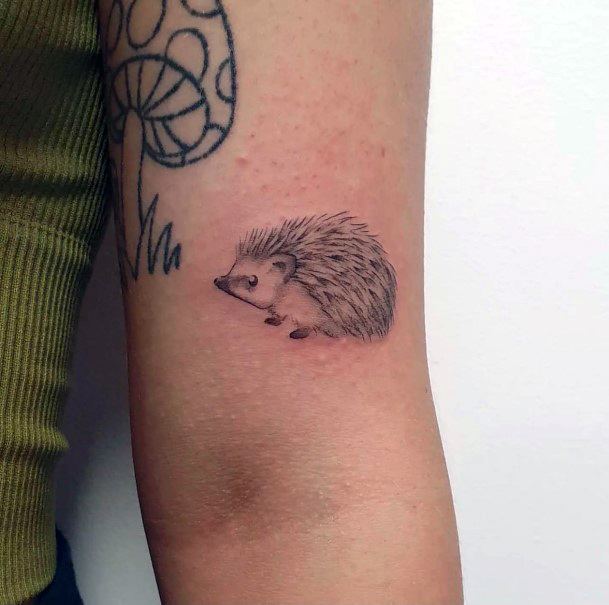 Girls Hedgehog Tattoo Designs