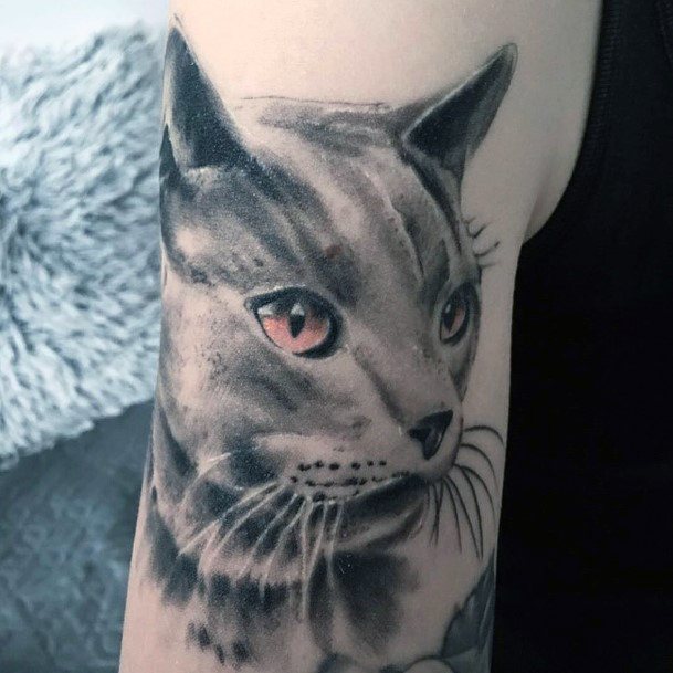 Gleaming Pink Eyed Cat Tattoo For Women Art