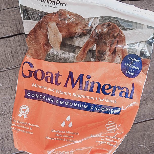 Goat Minerals How To Raise Livestock Animals For Meat Or Milk