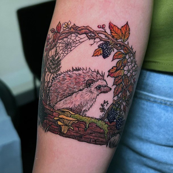 Good Hedgehog Tattoos For Women